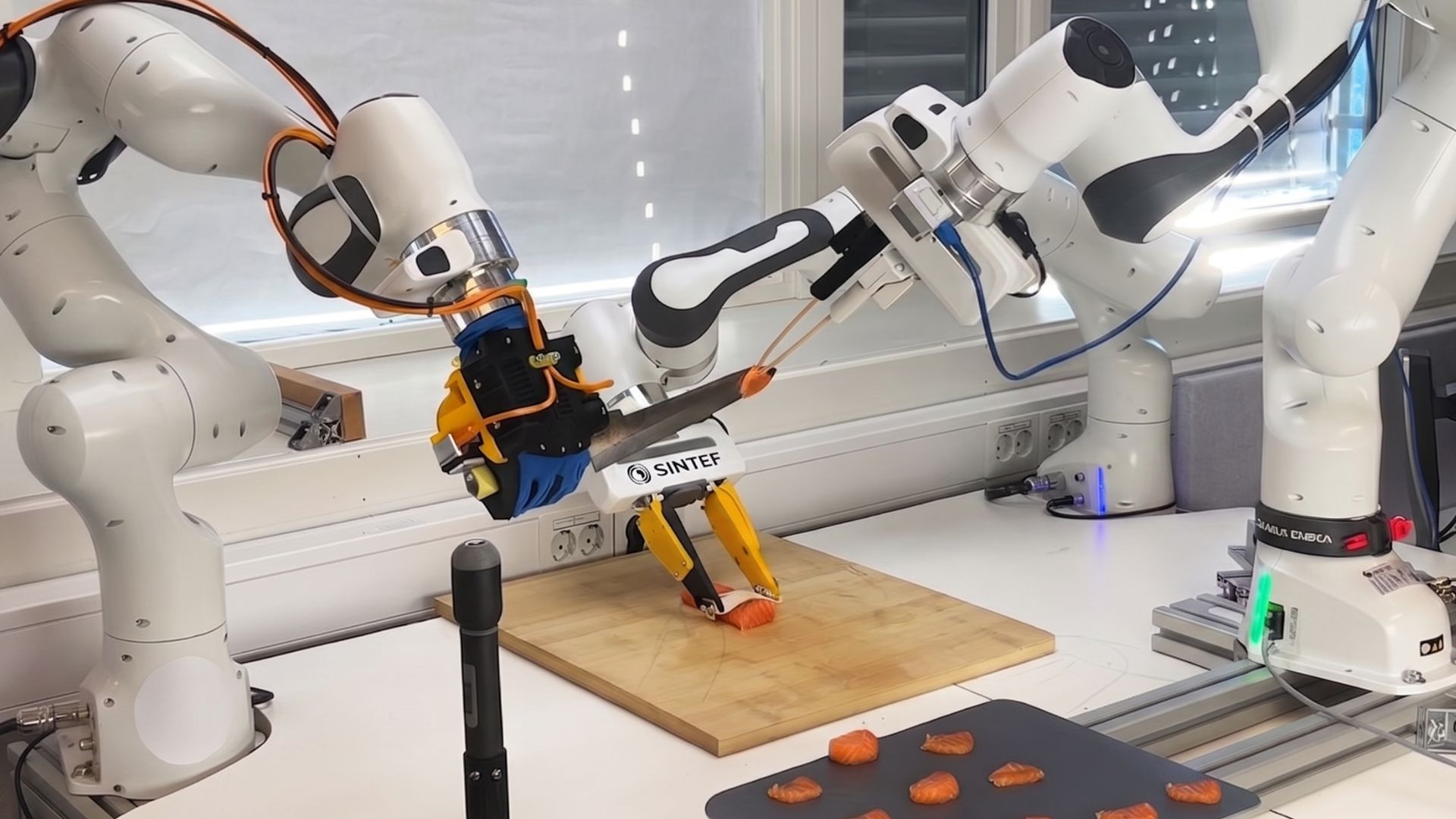 Sashimi-Bot uses tactile sensing to cut salmon