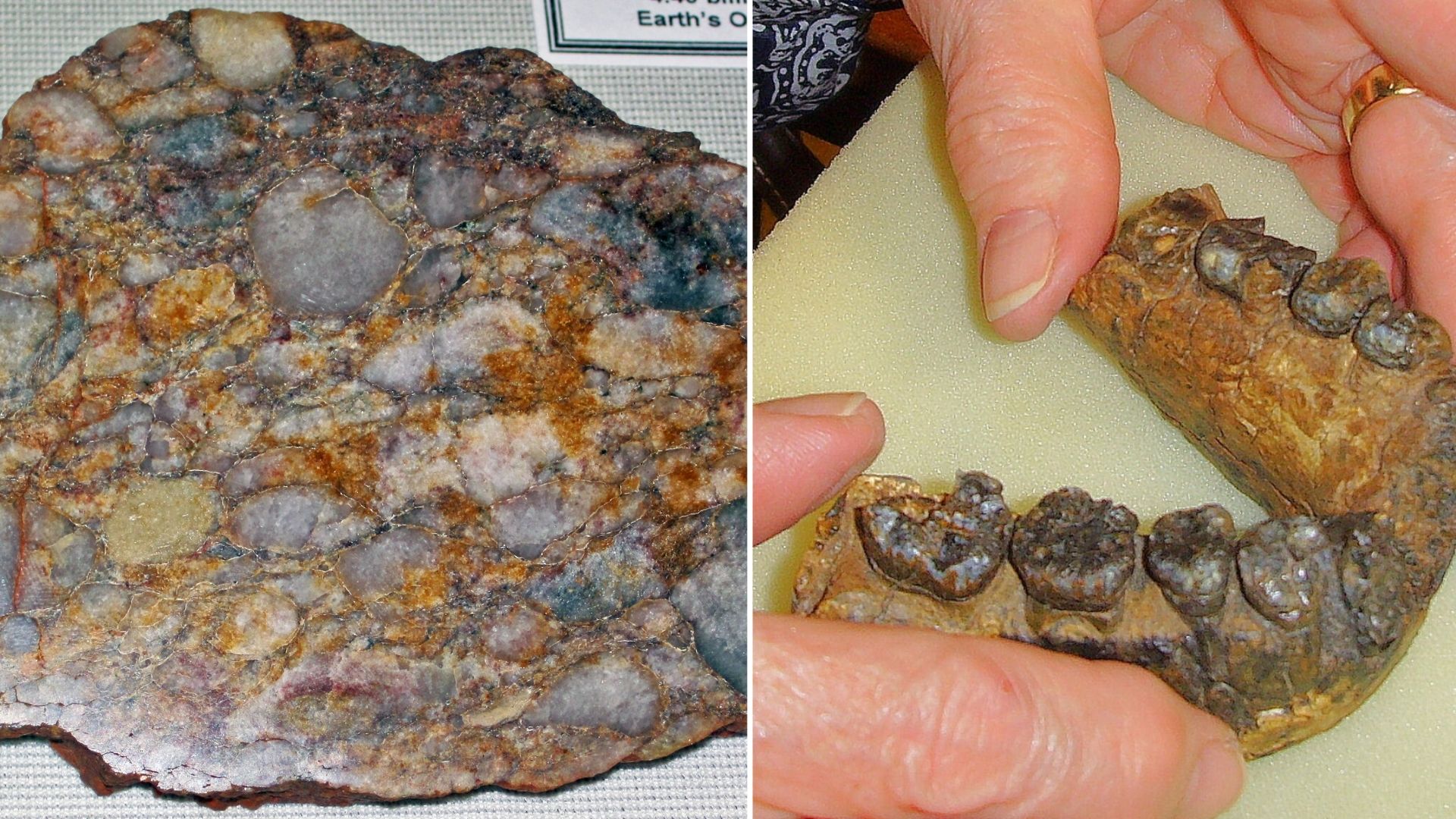 Seven of Earth’s Oldest Discoveries and What They Reveal