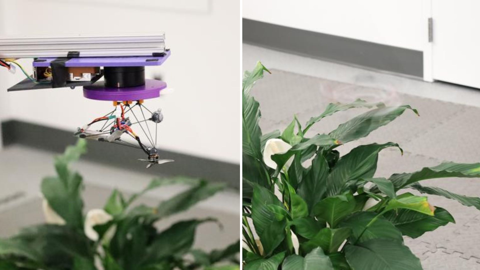 ‘Phantom Twist': US team designs drone that spins to achieve near-invisibility