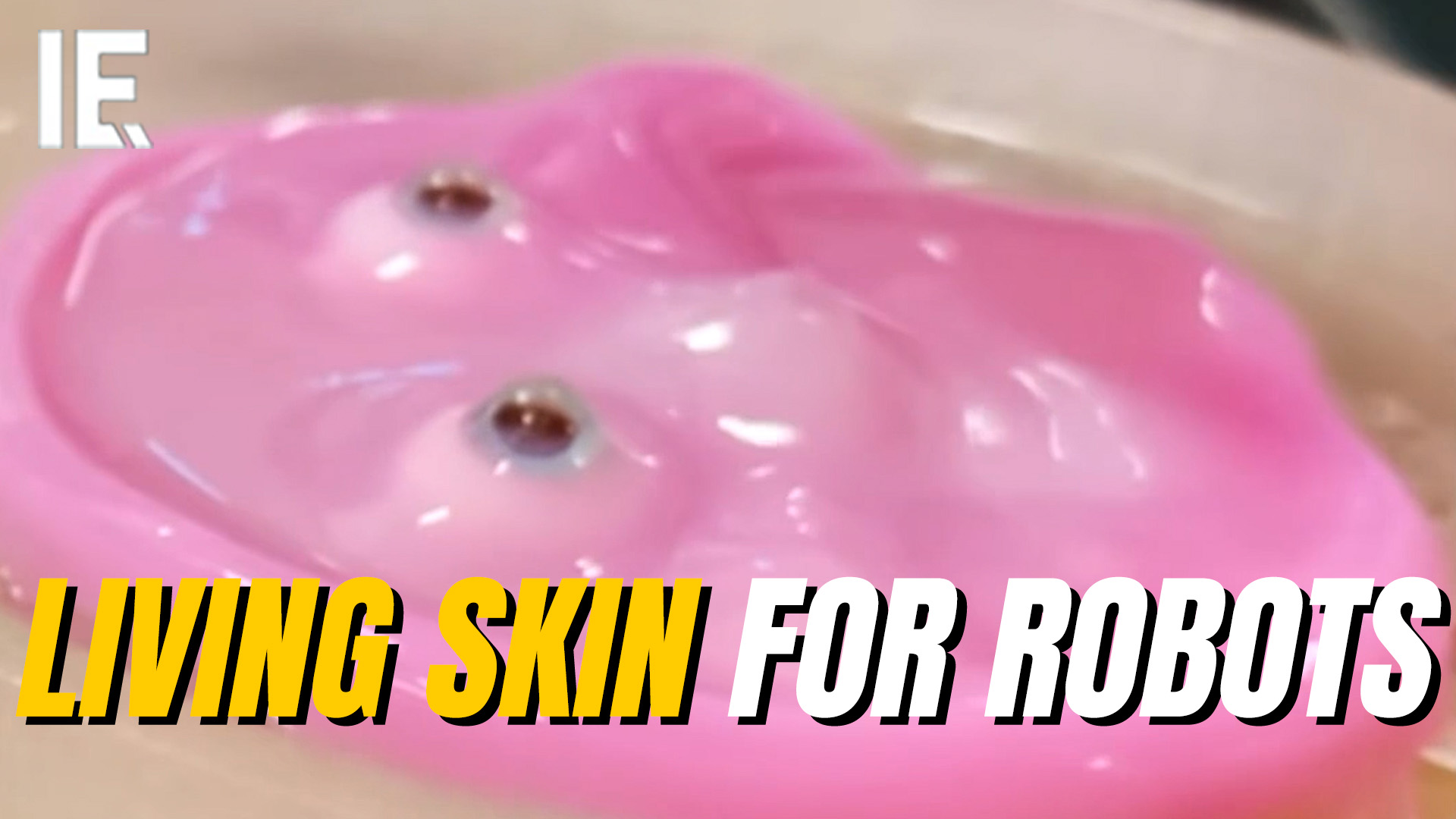 Living Skin Now Sticks to Robot Faces