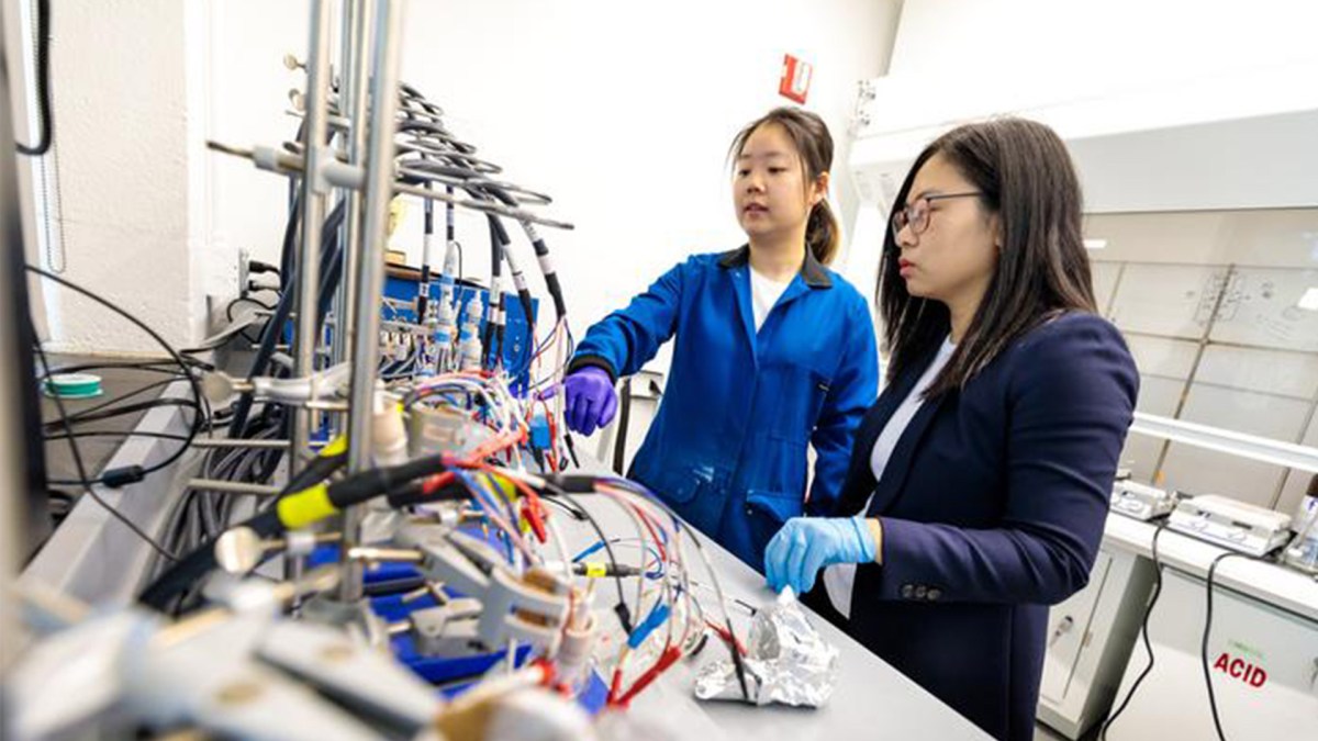 US scientists use atomic channels to purify rare earths without toxic solvents