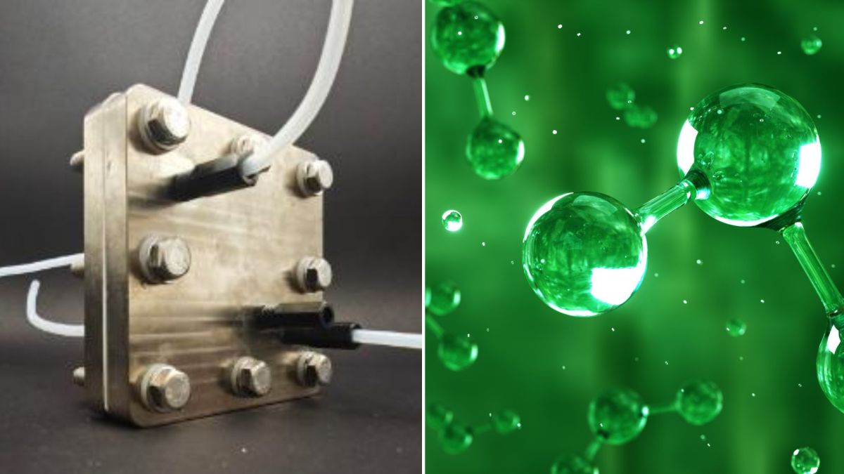 New food waste electrolyzer makes green hydrogen and bioplastic base materials