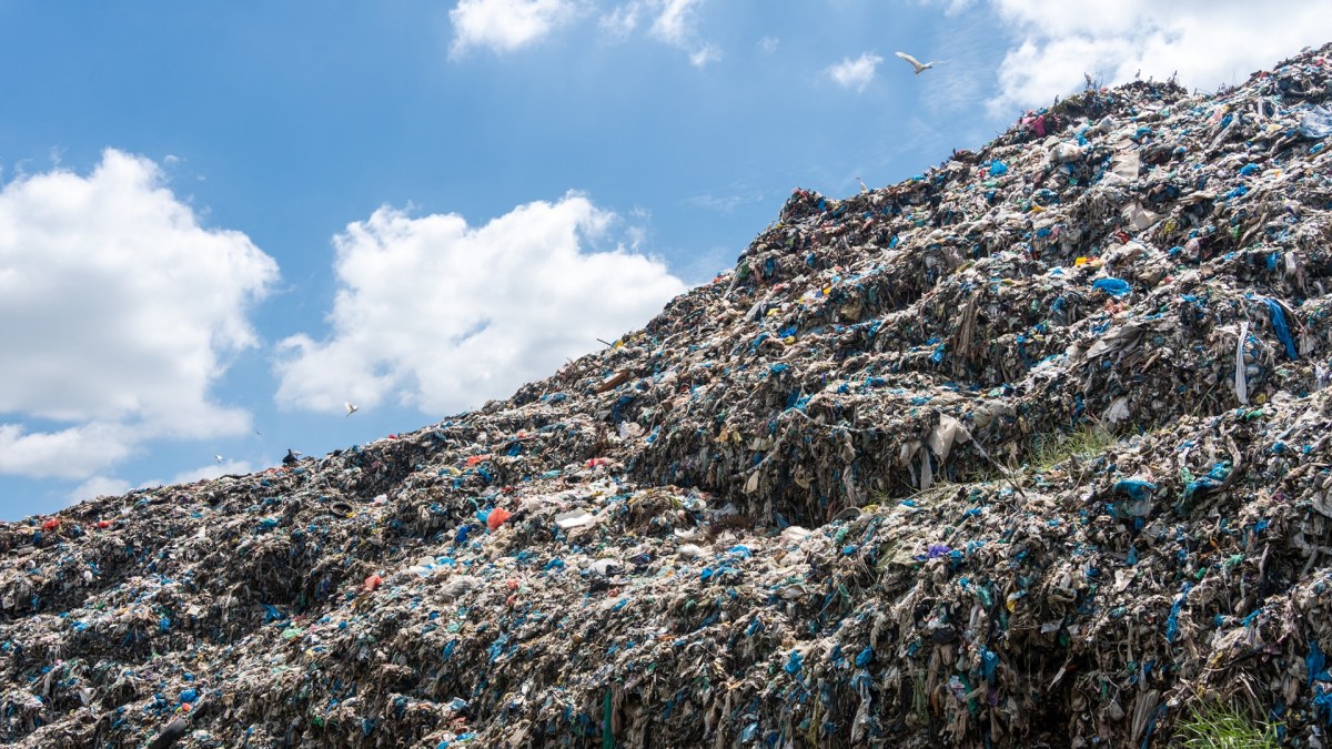 Innovative tech turns 72,000 contaminated single-use lab bottles into recyclable plastic