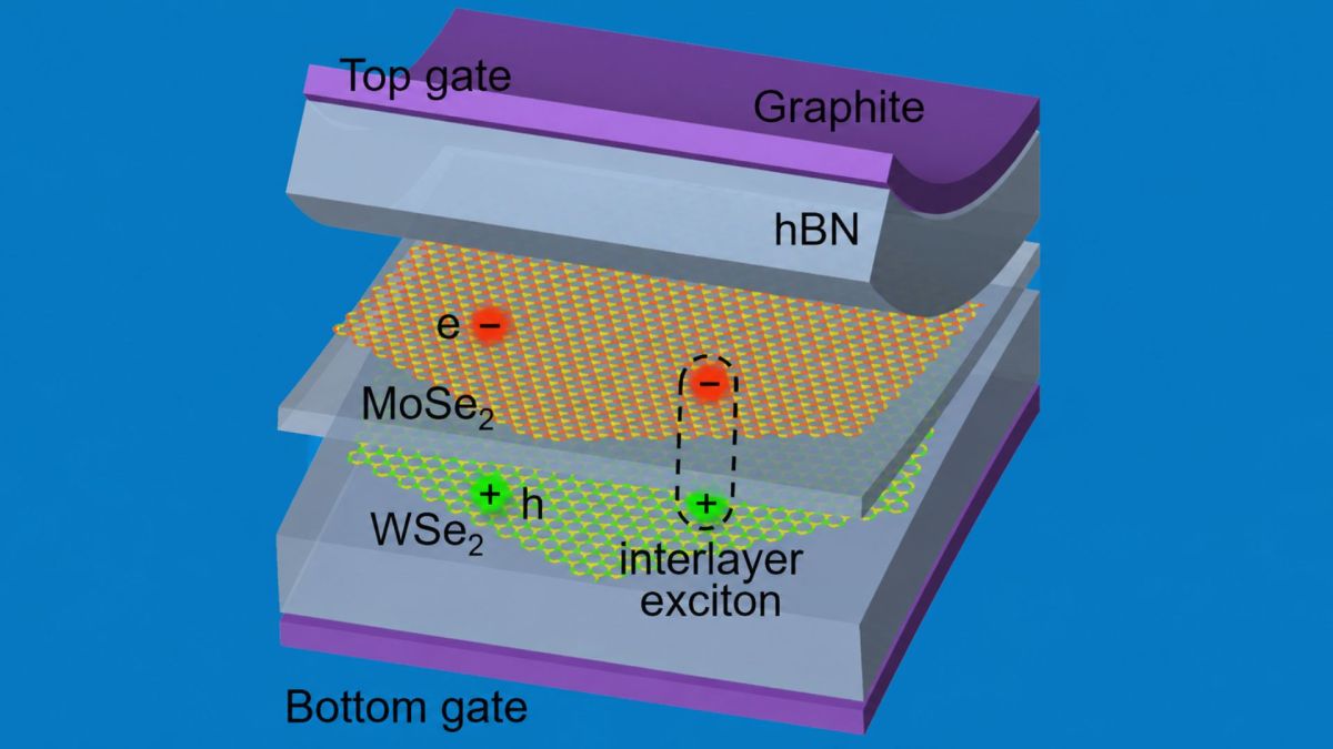 Tunable Bose-Einstein condensate found in Berkeley’s 2D semiconductor research