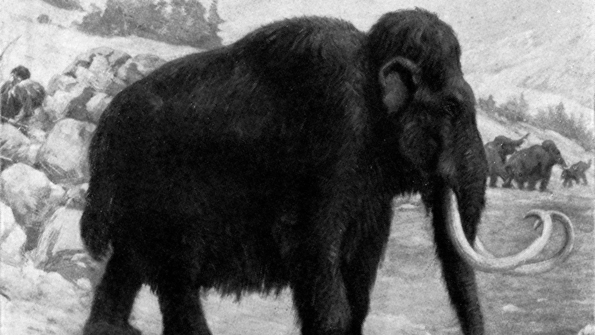 From mammoths to giant deer: 10 colossal animals of ancient Europe