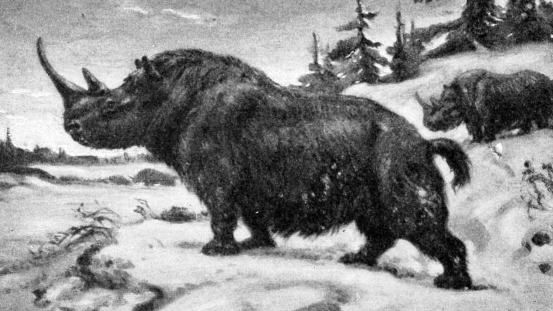 From mammoths to giant deer: 10 colossal animals of ancient Europe