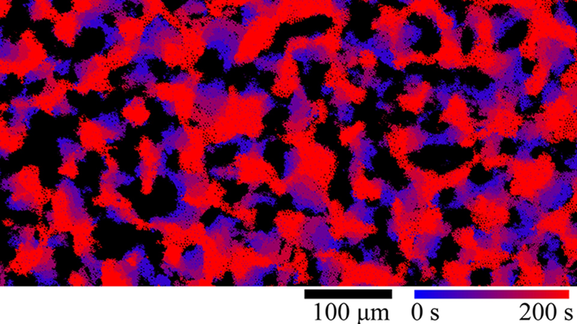 10,000 tiny particles defy Newton’s action-reaction law to stay in constant motion