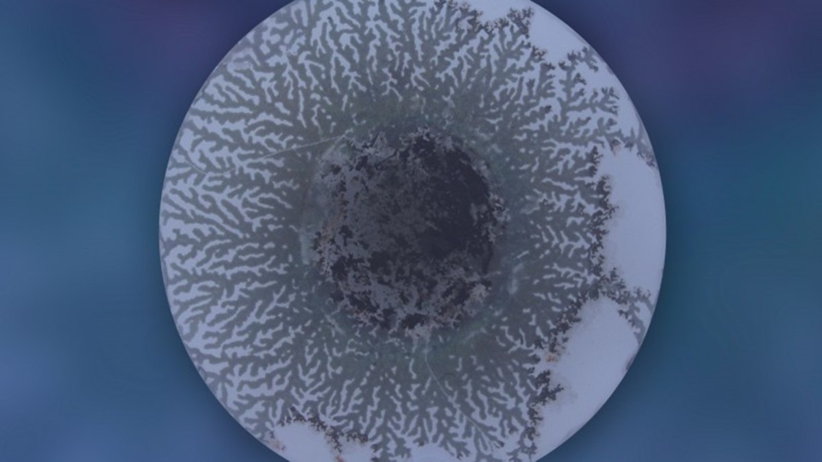 Solid-state batteries survive thousands of cycles, thanks to a squeeze on dendrites
