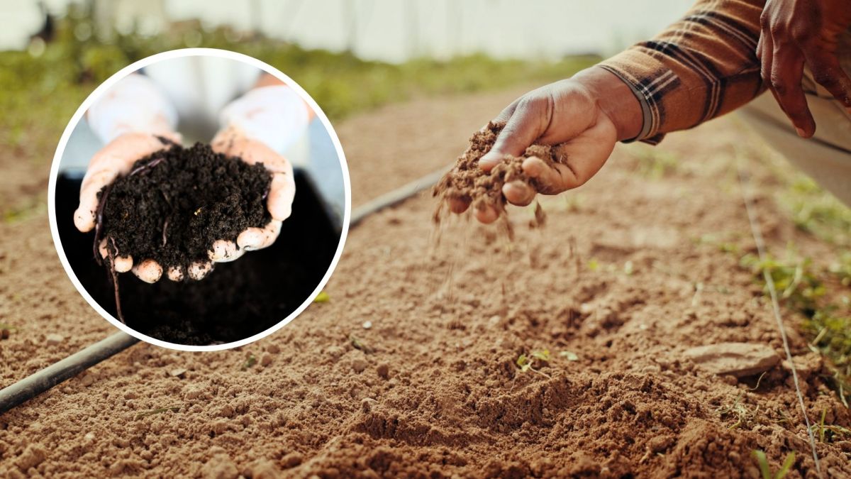 Researchers’ cheaper, more-efficient method turn rock into potassium fertilizer