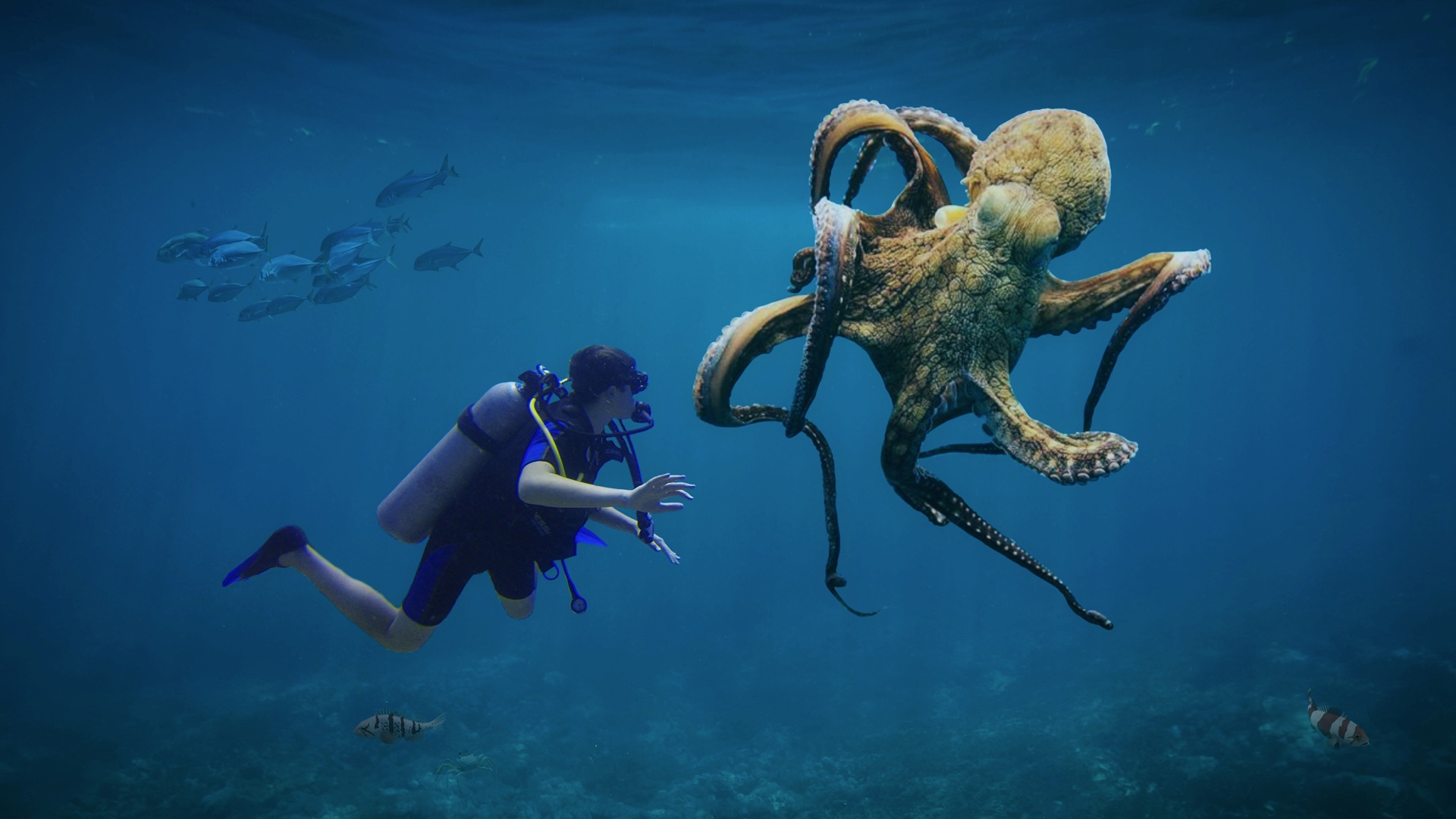 Biomechanical Speed and Light Sensing Drive Octopus Camouflage Success