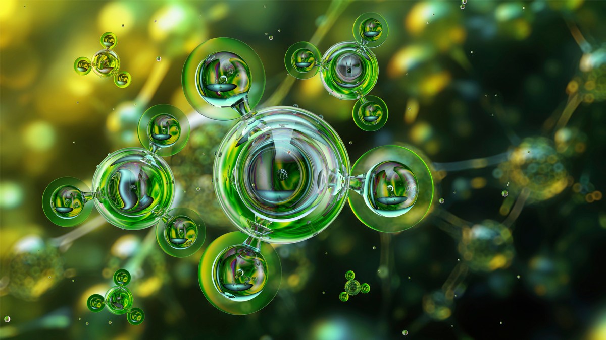 Scientists build a palladium membrane to keep water out of green ammonia reactors