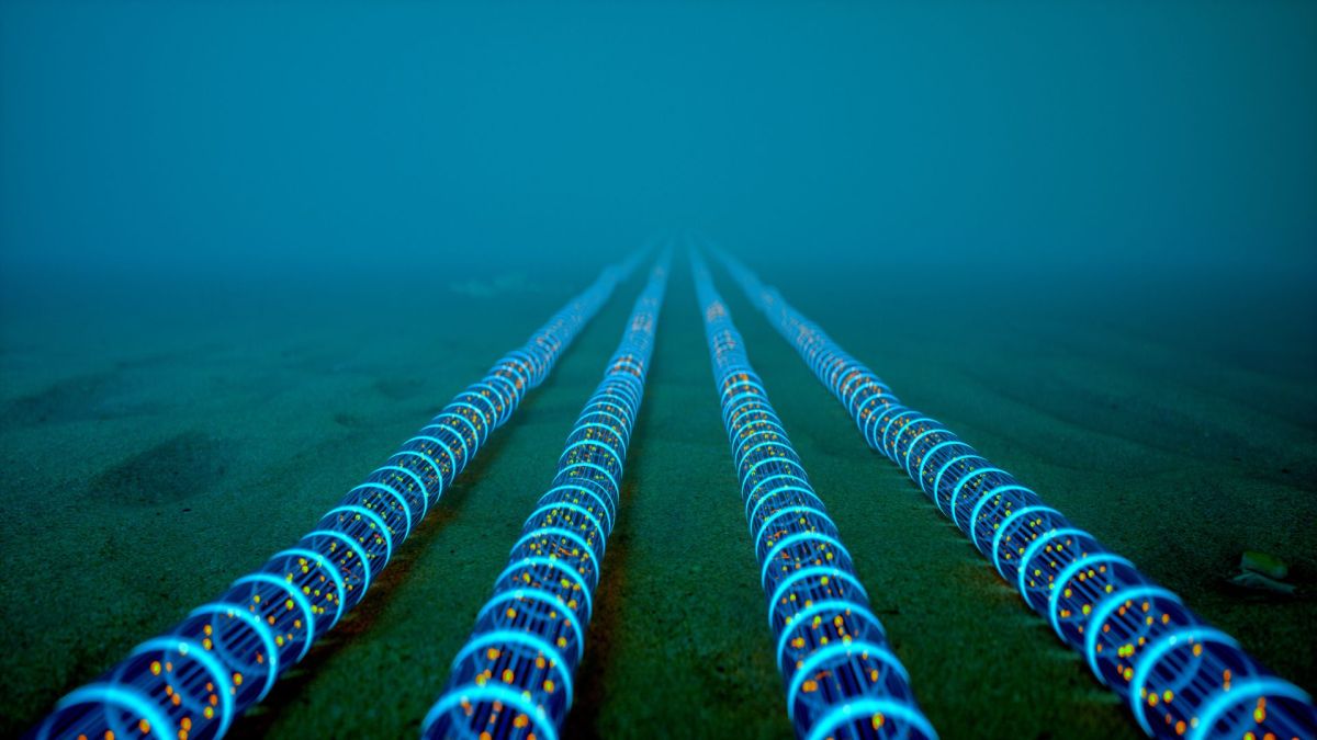Meta unveils Petal, the world’s first petabit-class transatlantic cable