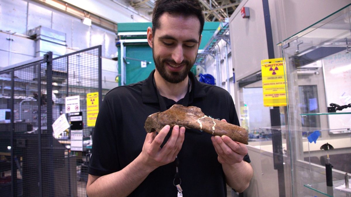 Scientists uncover fossilized blood vessels in 66-million-year-old dinosaur bone