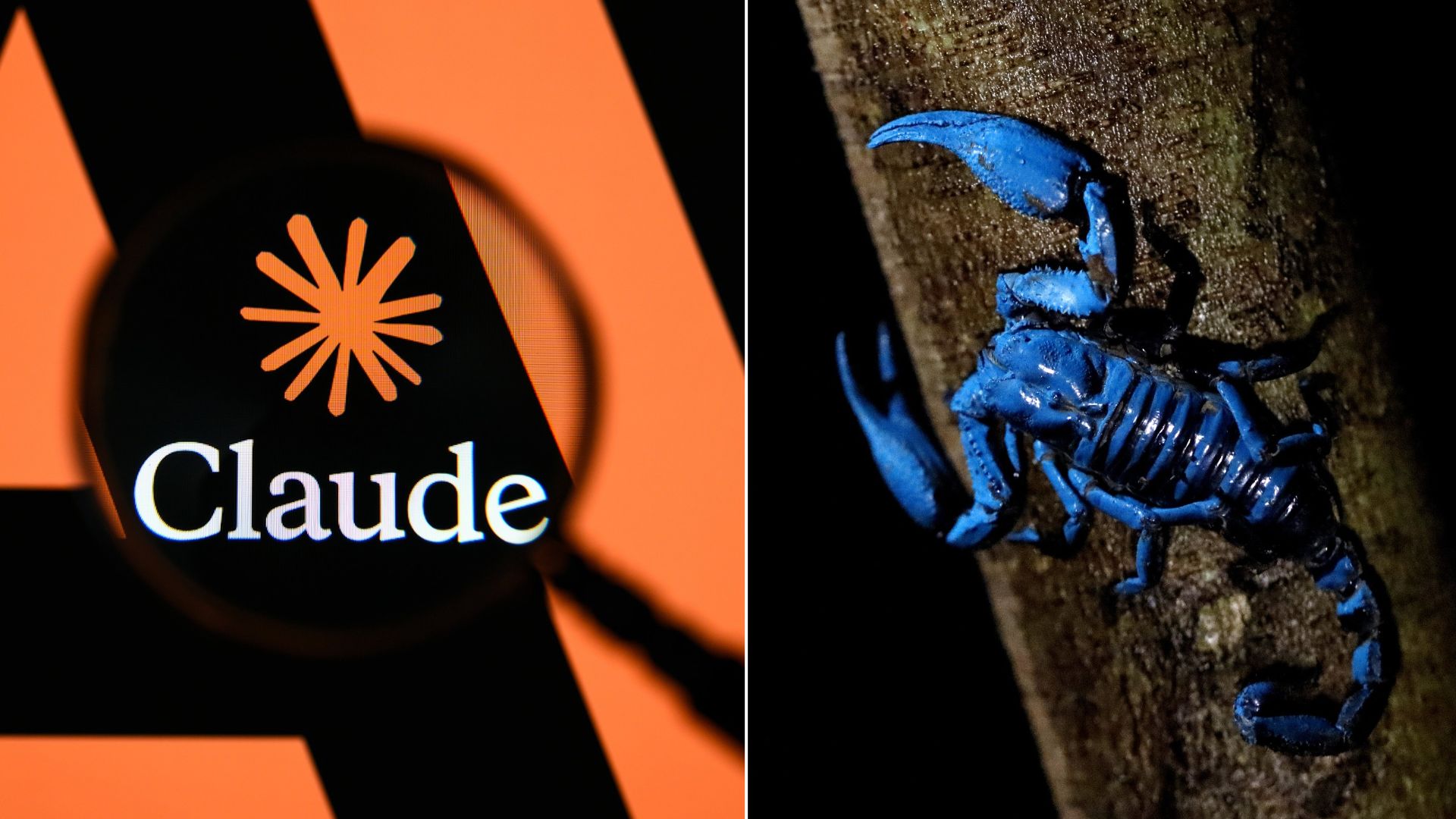 Claude's 64-hour experiment finds 17 binders for scorpion toxins