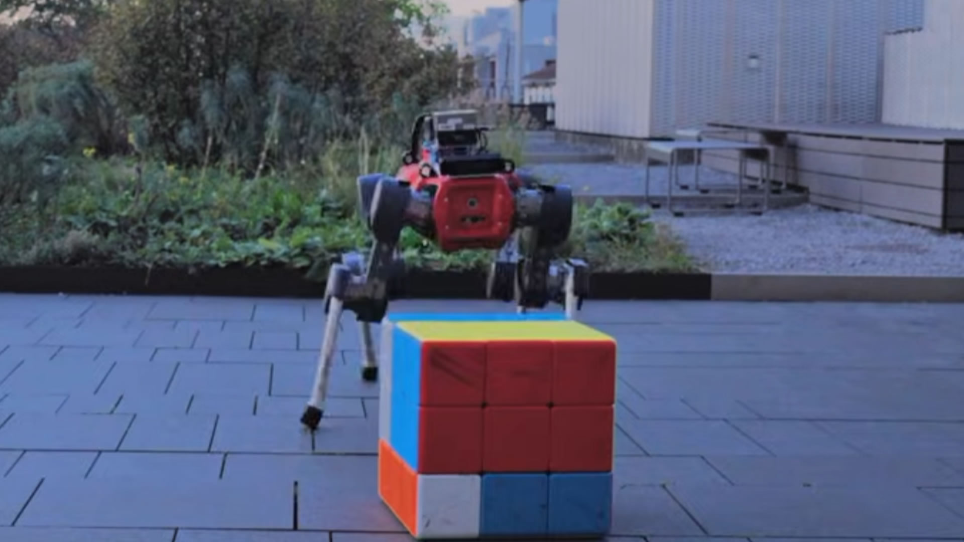 Four-legged robot solves giant Rubik's Cube without using hands