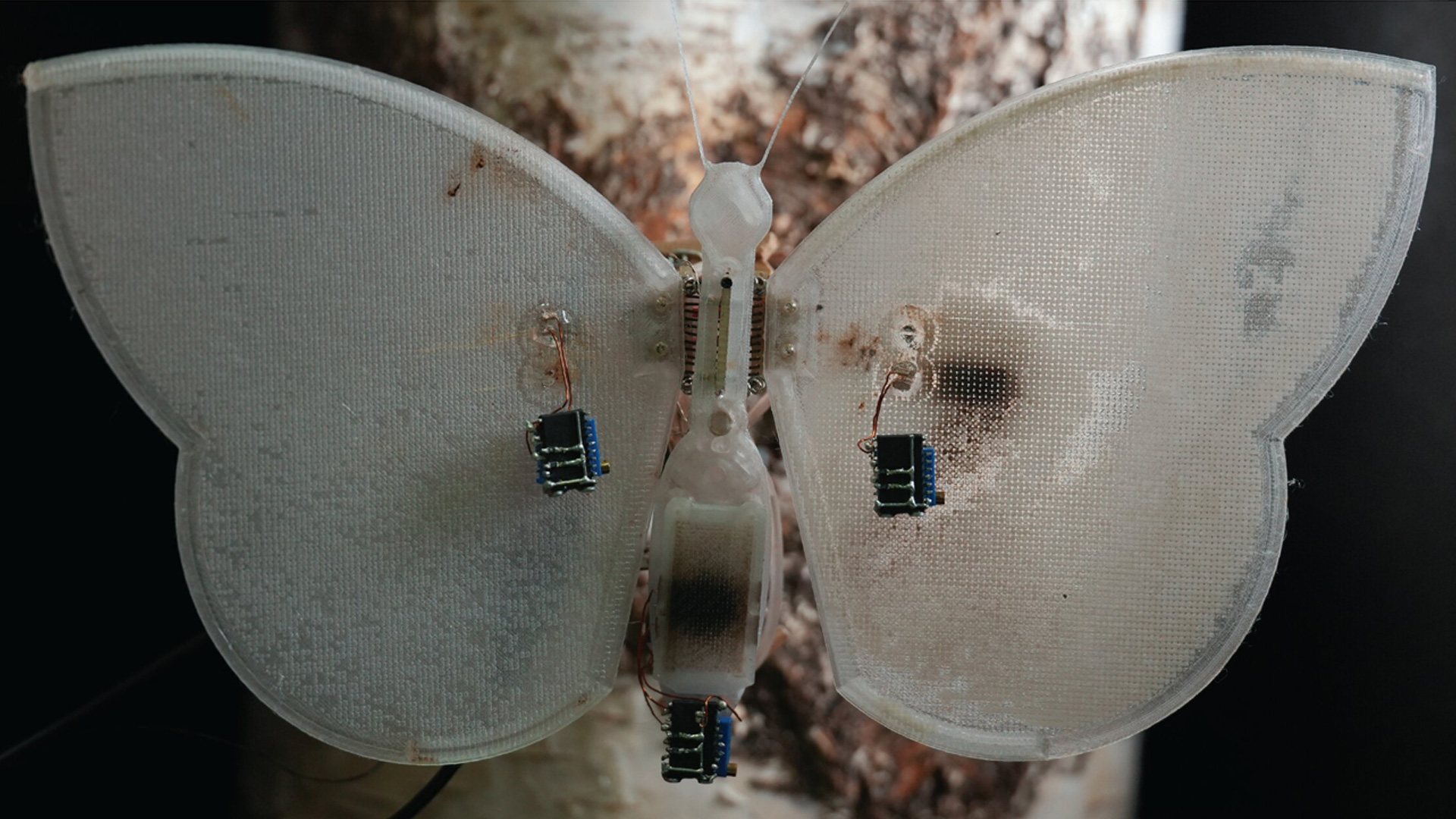 Robot inspirado en polillas genera un sensor de luz UV con sangre artificial