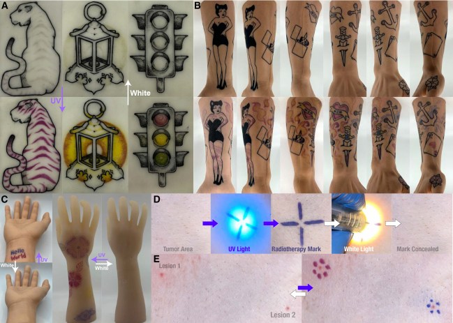 studiesut-prezantojne-bojen-e-re-per-tatuazhe-e-cila-duket-vetem-nen-ndricimin-e-rrezeve-uv